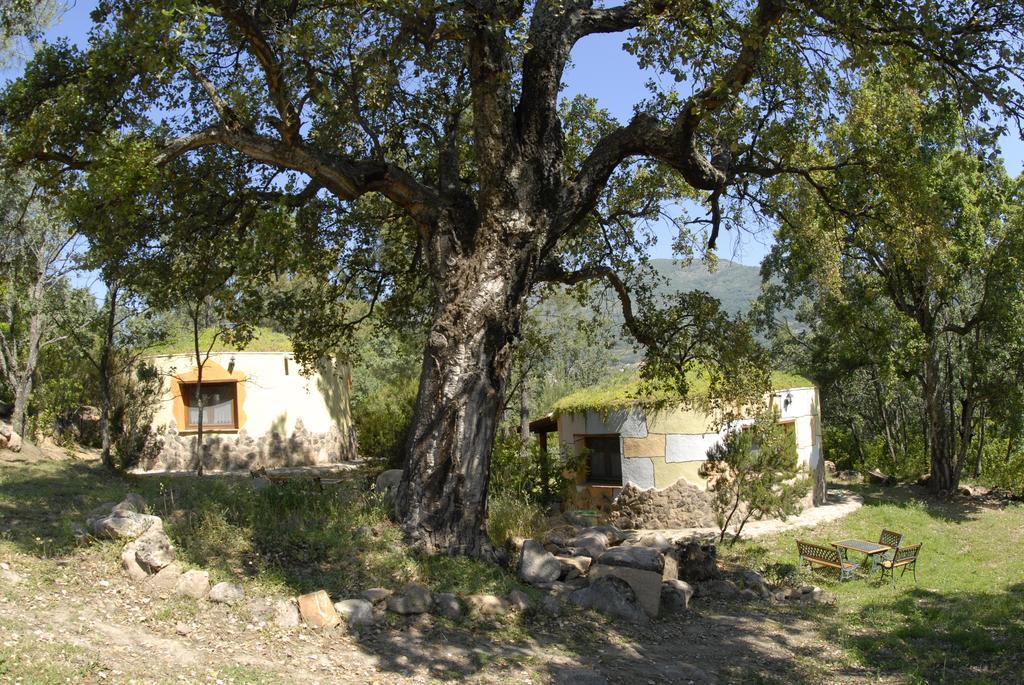 Apartamentos Rurales Ecopangea Valverde de la Vera Екстер'єр фото